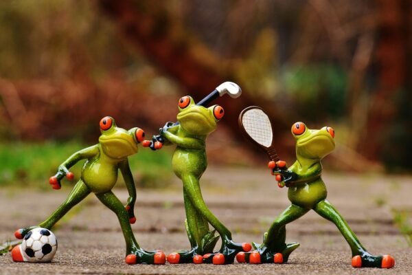 PSSI BAUBAU dan Peranannya dalam Pengembangan Sepak Bola Daerah